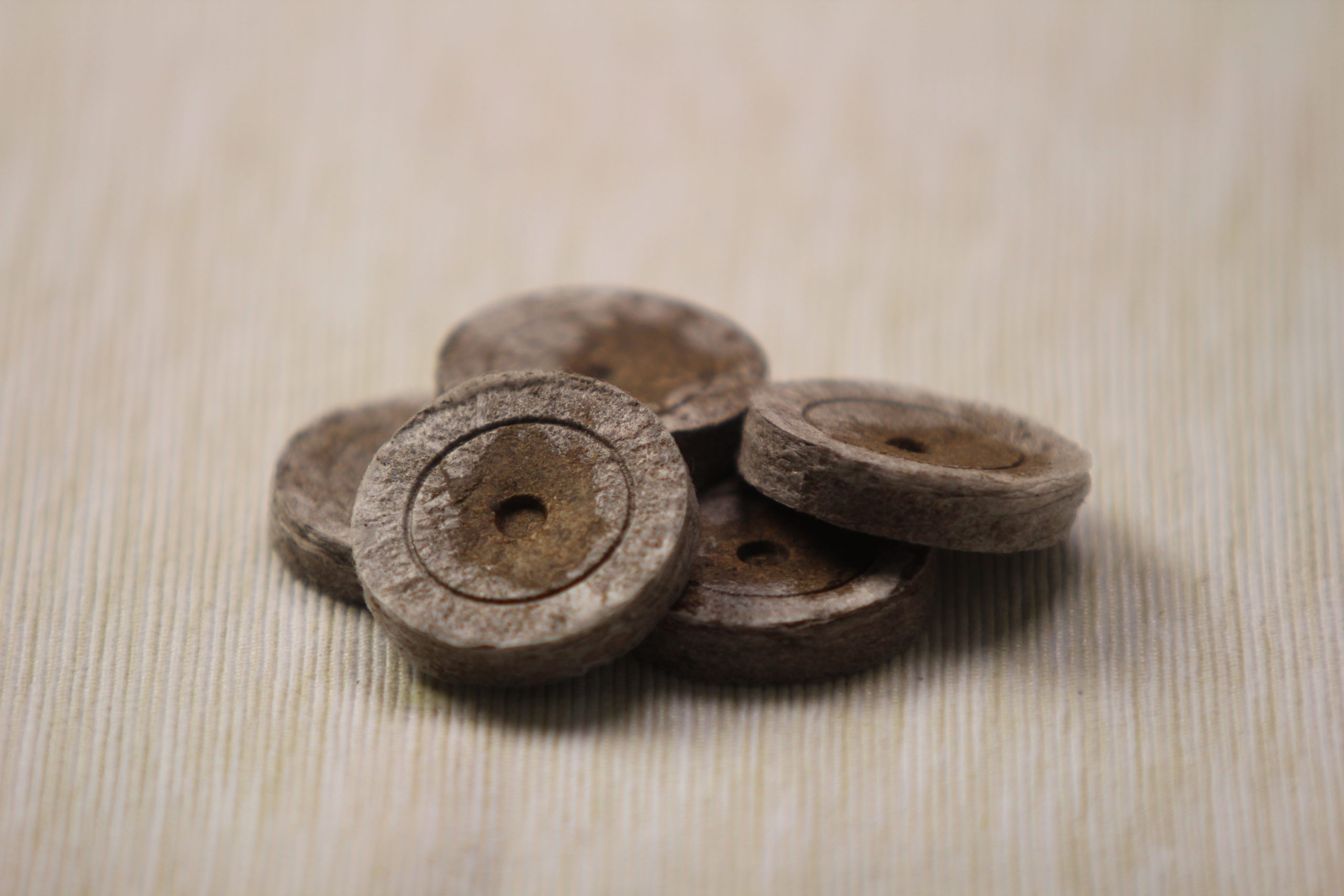 IMG_2918 Jiffy-7 rašelinové výsevní tablety