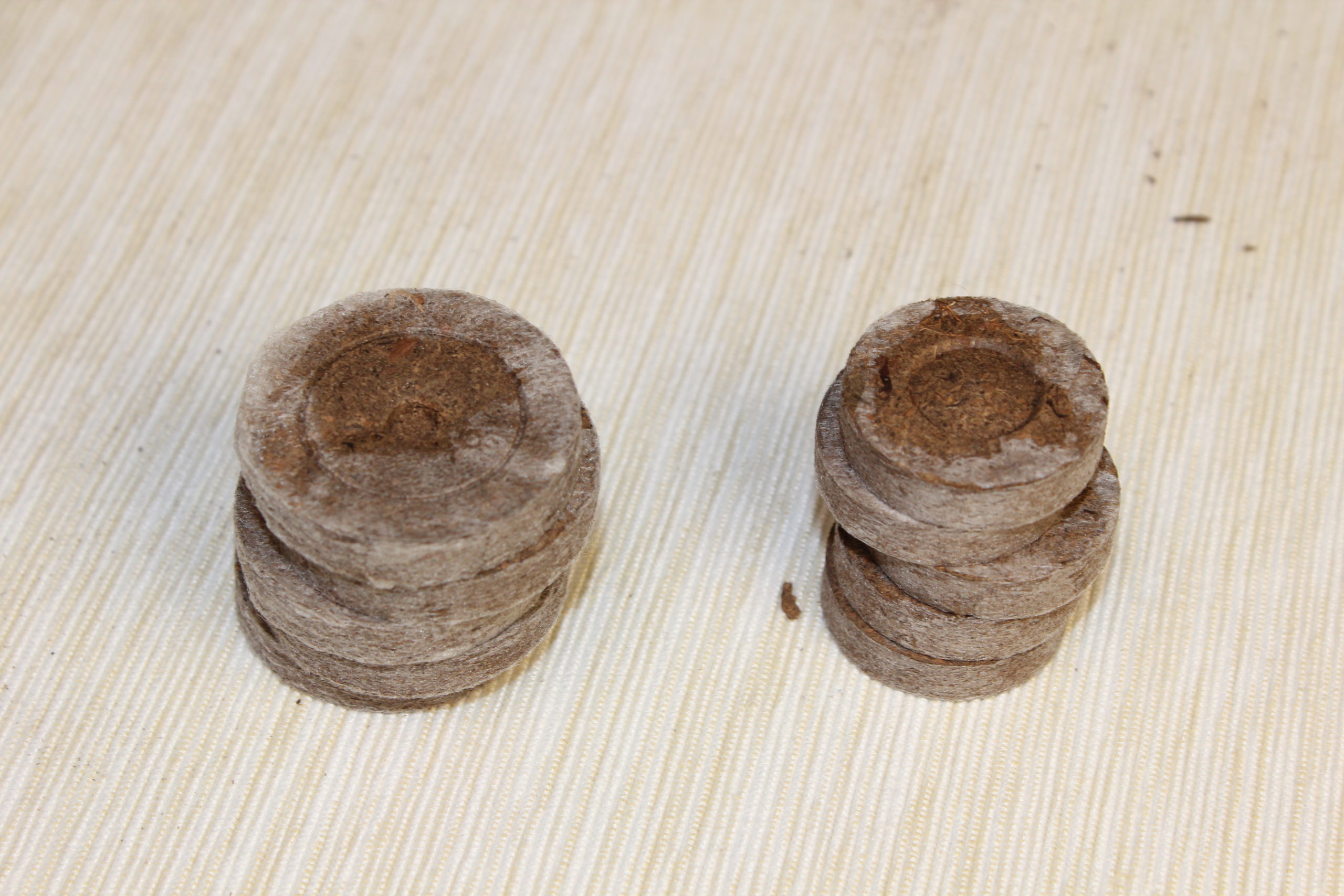 IMG_2937 Jiffy-7 rašelinové výsevní tablety