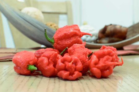 Carolina Reaper – Semínka 10ks