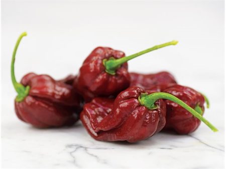 Chocolate Habanero plody 3ks