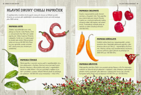 Někdo to rád pálivé – Hlavní druhy chilli papriček