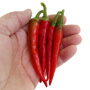Ring of Fire chilli paprička