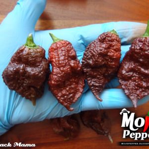 Big Black Mama chilli