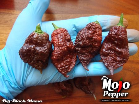 Big Black Mama chilli