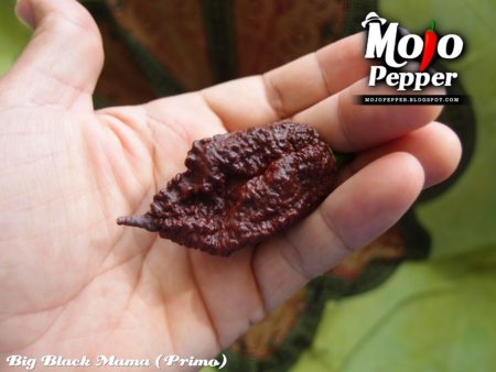 Big Black Mama chilli