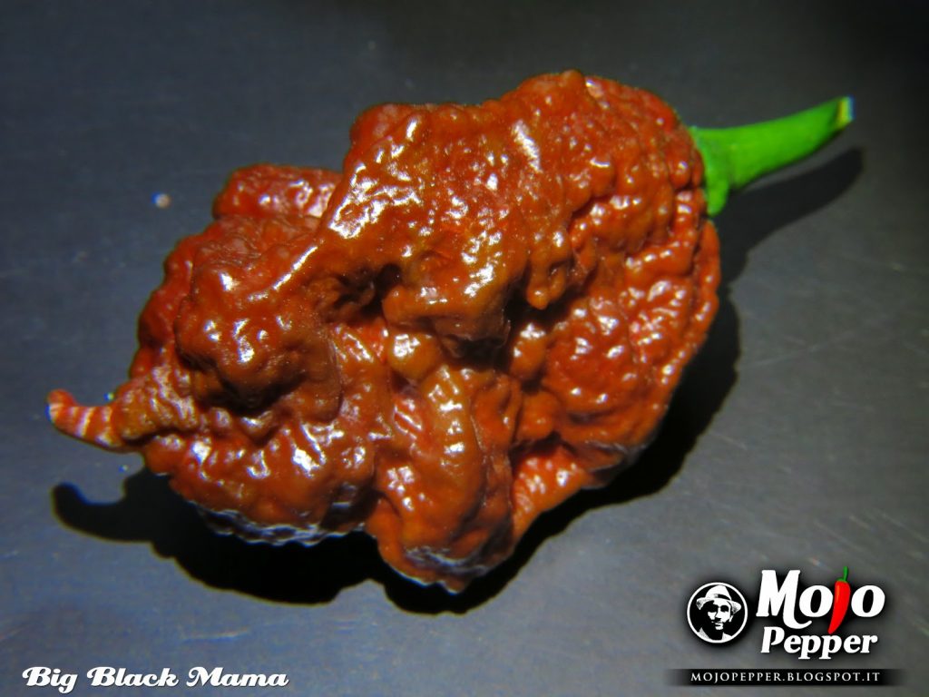 Big Black Mama chilli