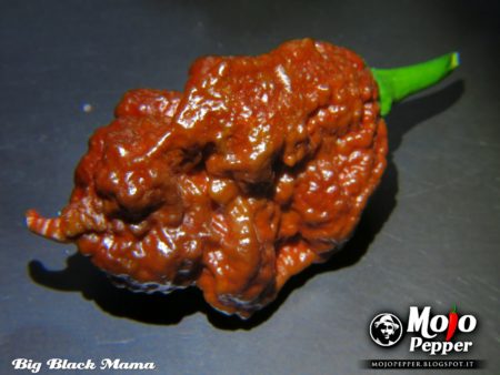Big Black Mama chilli