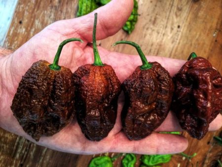 Big Black Mama chilli