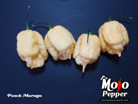 Peach Moruga - semínka
