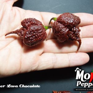 Reaper Lava Chocolate